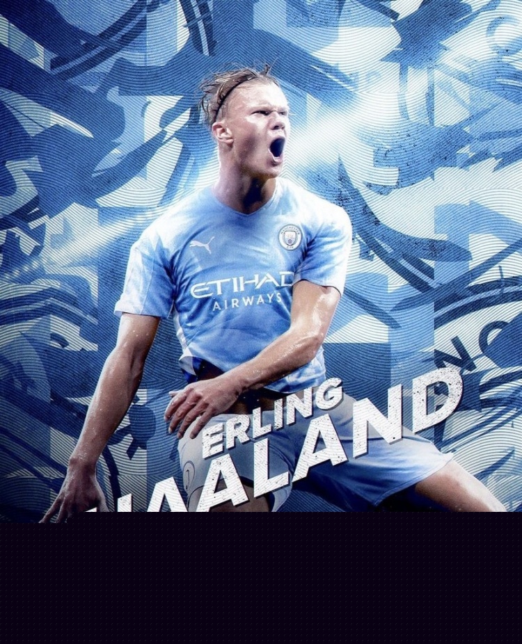 功能型打野 功能型打野