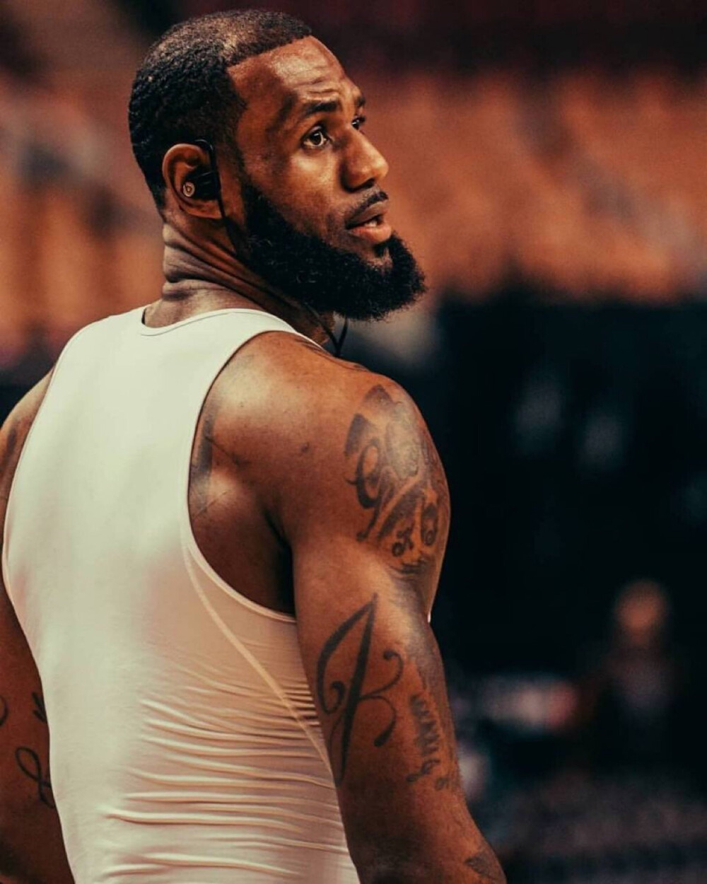 可被记忆 可被记忆